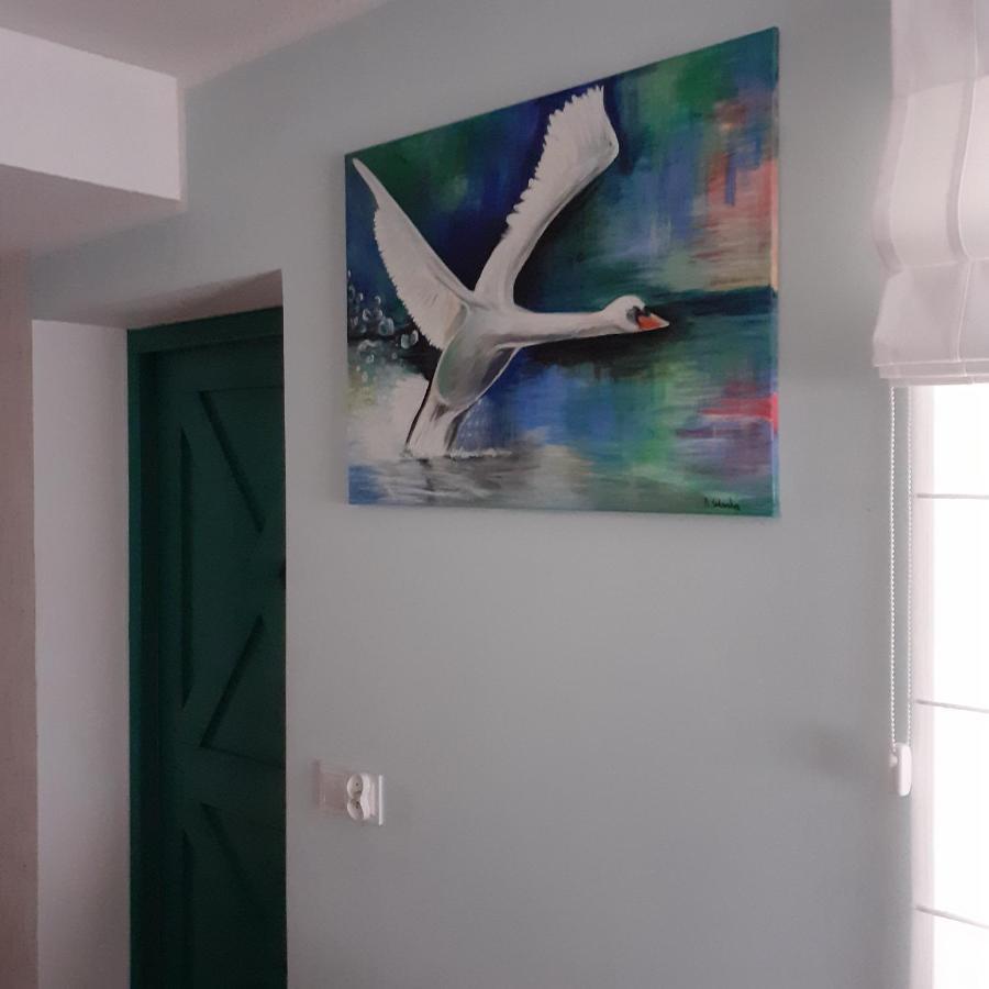 Pastelowy Domek Z Balia Elektryczna Z Jacuzzi Zalakowo Extérieur photo